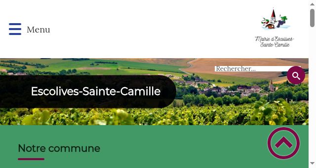 Screenshot of escolivesstecamille.fr
