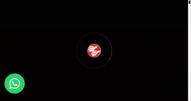 Screenshot of eses.it