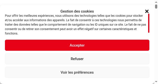 Screenshot of esfingestion.fr