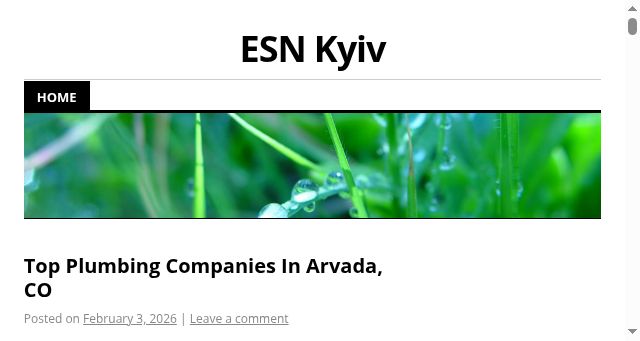 Screenshot of esnkyiv.org