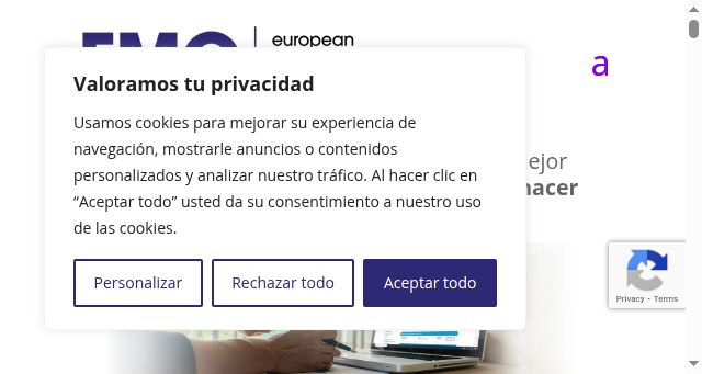 Screenshot of euromconsulting.eu