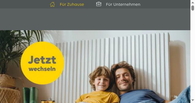 Screenshot of ewe.de