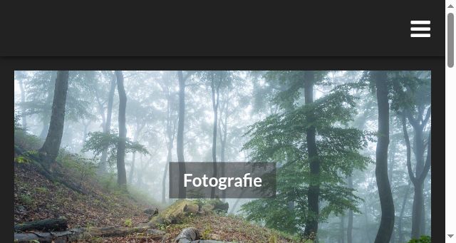 Screenshot of fabian-kurz.de