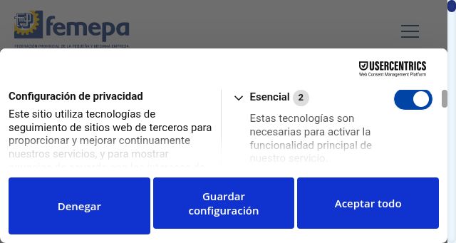 Screenshot of femepa.org