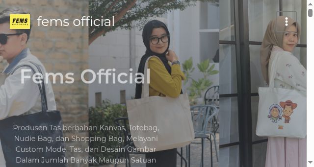 Screenshot of fems-official.com