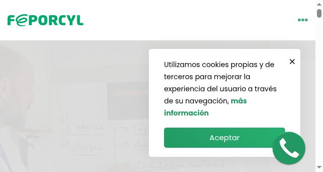 Screenshot of feporcyl.es