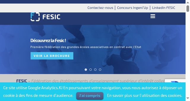Screenshot of fesic.org