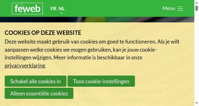 Screenshot of feweb.be