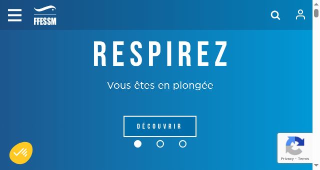 Screenshot of ffessm.fr