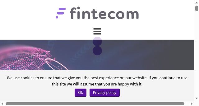Screenshot of fintecom.net