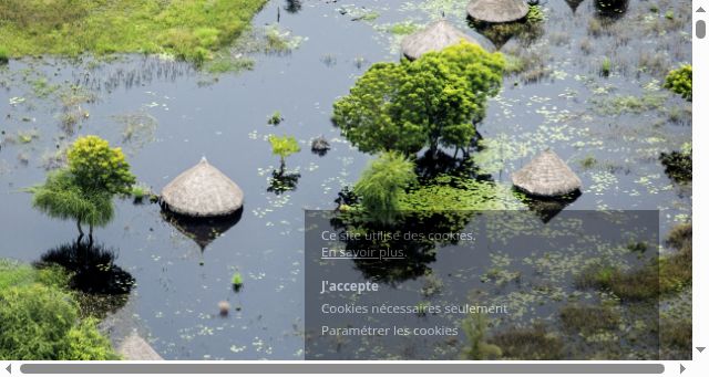 Screenshot of fipadoc.com