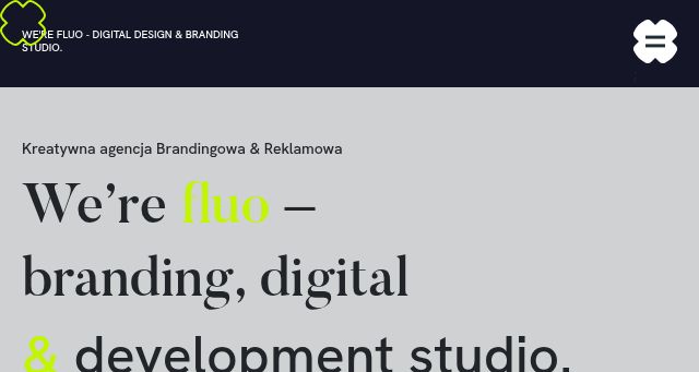 Screenshot of fluostudio.pl