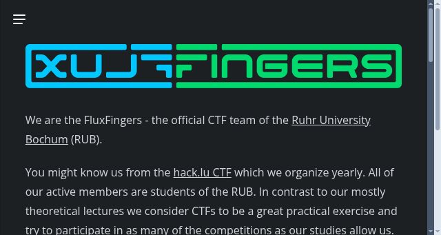 Screenshot of fluxfingers.net