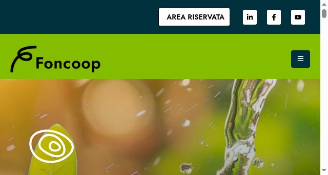 Screenshot of foncoop.coop