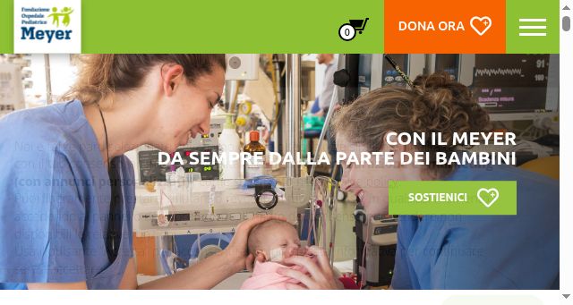 Screenshot of fondazionemeyer.it