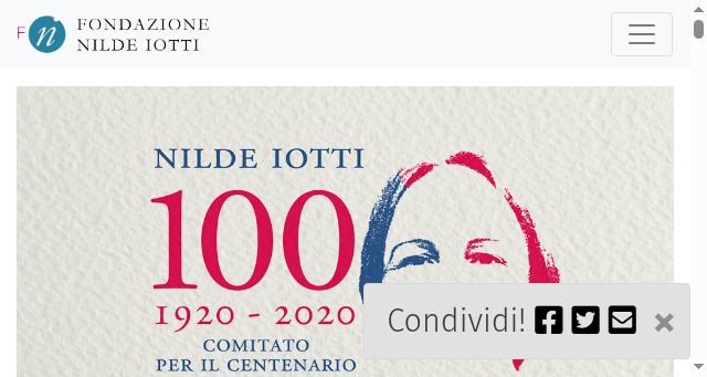 Screenshot of fondazionenildeiotti.it