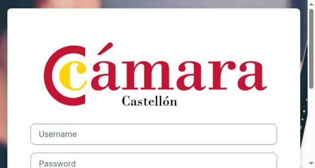 Screenshot of formacioncastellon.com