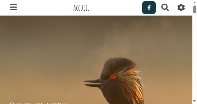 Screenshot of frasnes-les-bassins.be