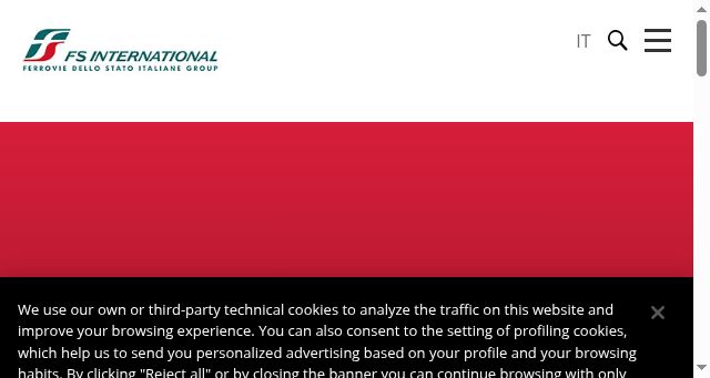 Screenshot of fsinternational.it