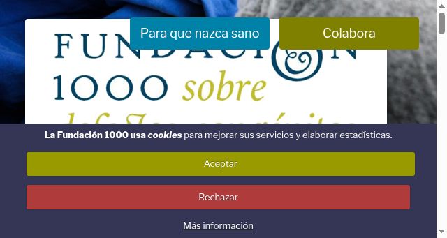 Screenshot of fundacion1000.es