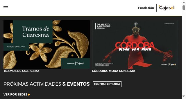 Screenshot of fundacioncajasol.com