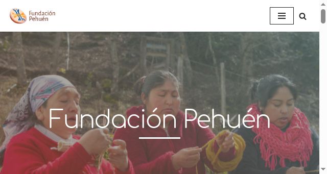 Screenshot of fundacionpehuen.cl
