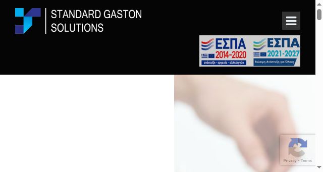 Screenshot of gastonservices.gr