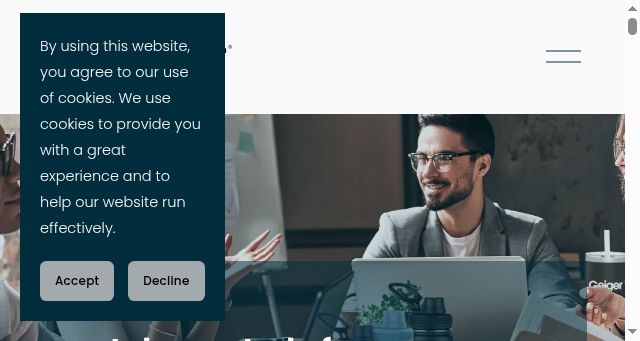 Screenshot of getwithgeiger.com