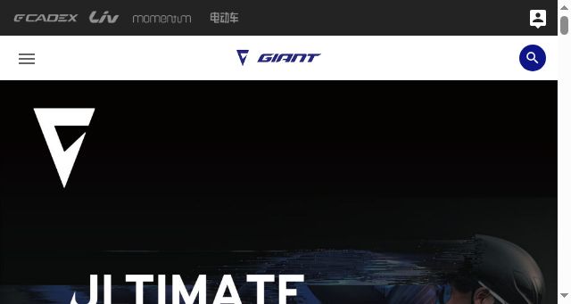 Screenshot of giant.com.cn
