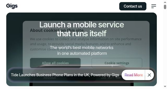 Screenshot of gigs.com