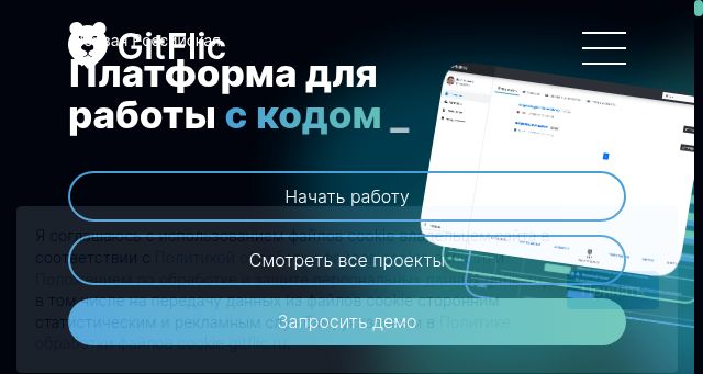 Screenshot of gitflic.ru