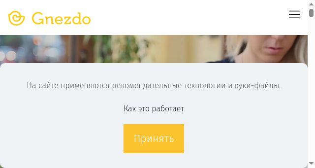 Screenshot of gnezdo.online