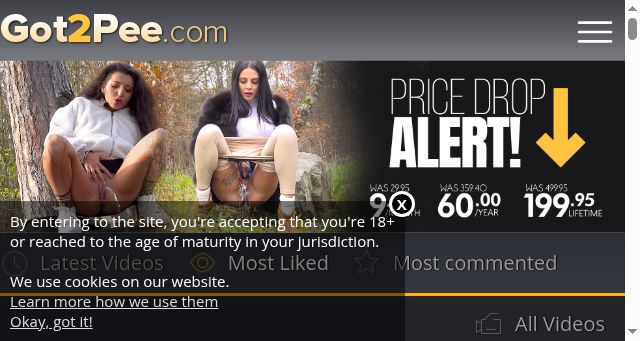 Screenshot of got2pee.com