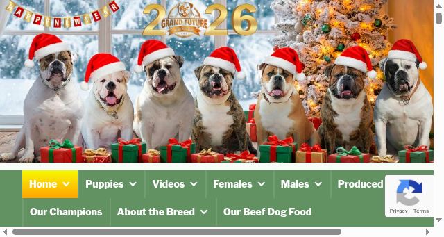 Screenshot of grandfuturekennel.com
