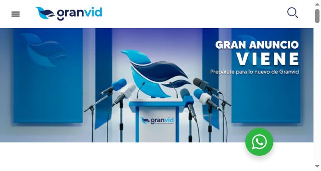 Screenshot of granvid.com