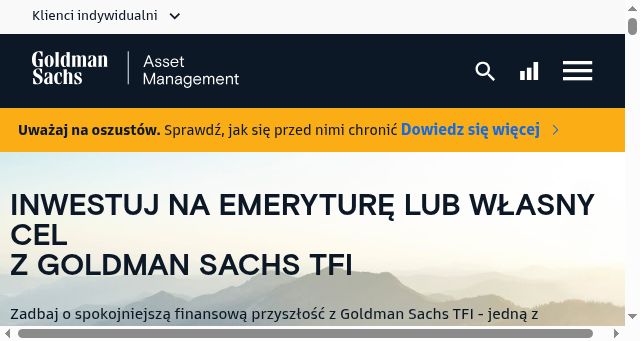 Screenshot of gstfi.pl