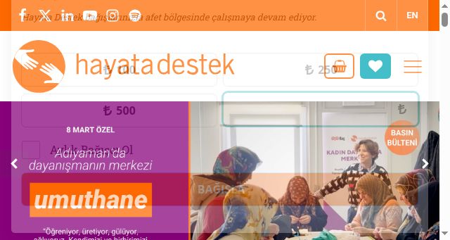 Screenshot of hayatadestek.org