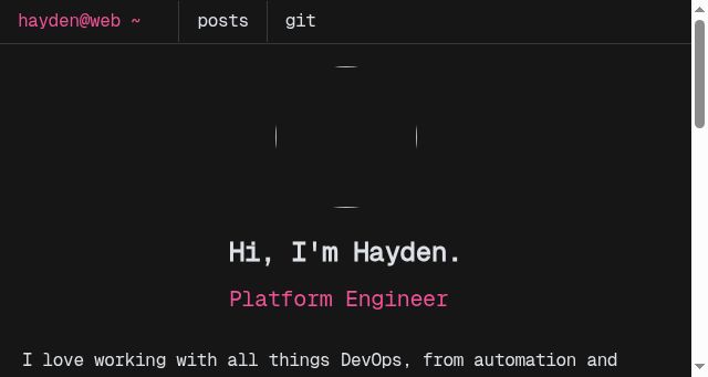 Screenshot of hayden.moe