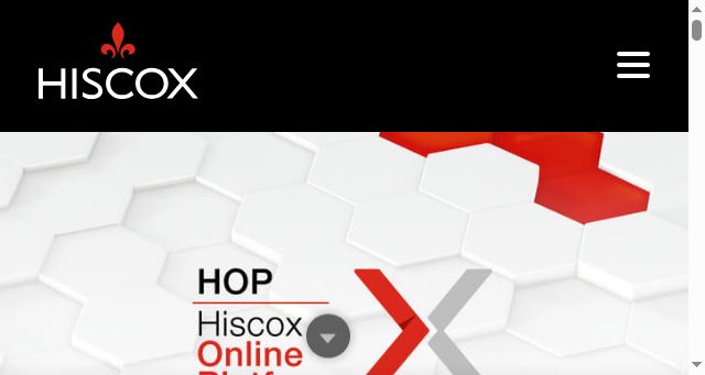 Screenshot of hiscox.ie