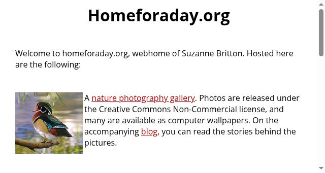 Screenshot of homeforaday.org