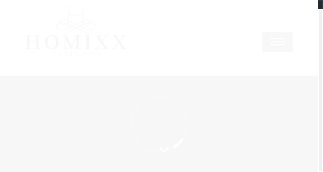 Screenshot of homixx.be