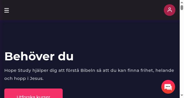 Screenshot of hopestudy.se