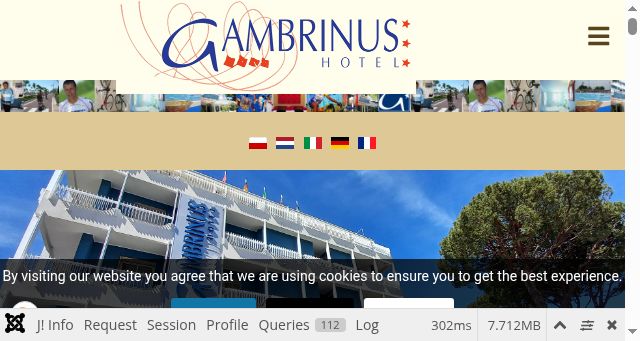 Screenshot of hotelgambrinus.com