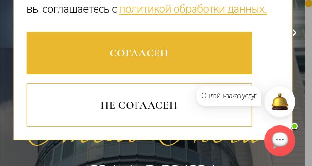 Screenshot of hotelonegin.com