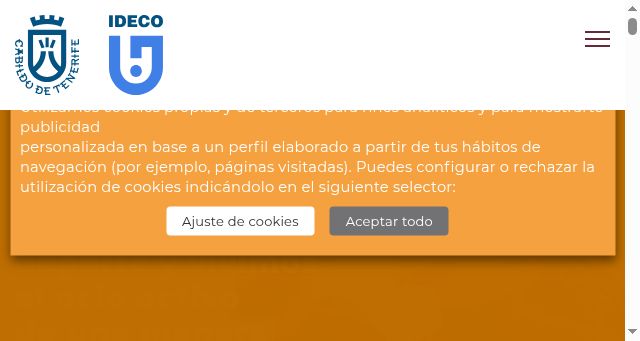 Screenshot of idecogestion.net