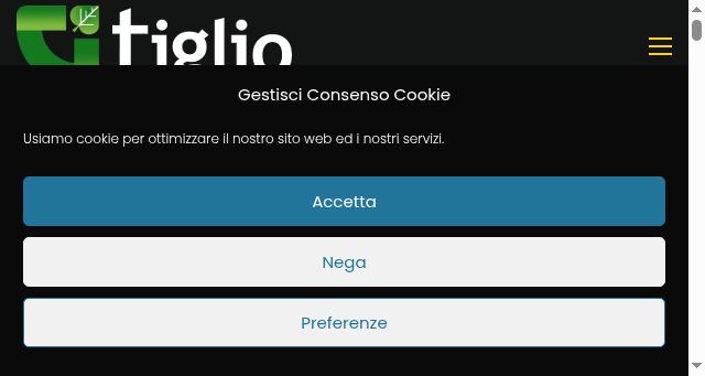 Screenshot of iltigliosrl.it