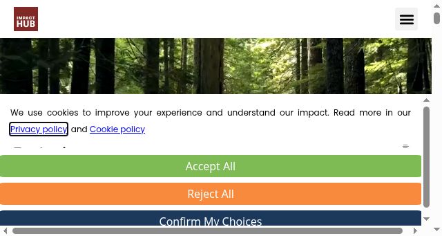 Screenshot of impacthub.net