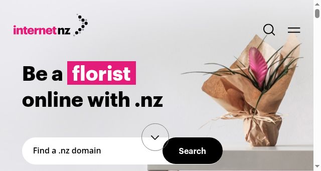 Screenshot of internetnz.nz