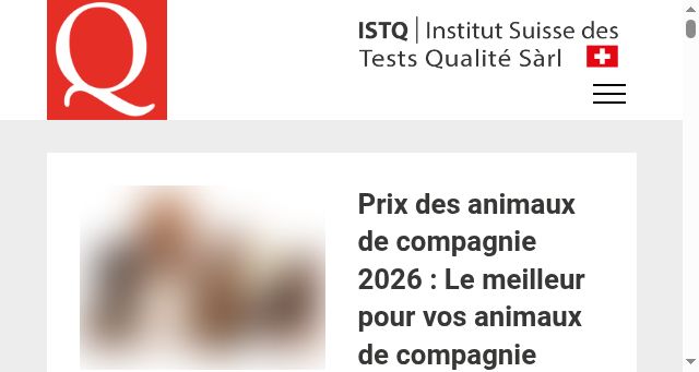 Screenshot of istq.ch