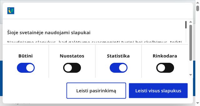Screenshot of iv.lt